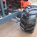 5896 Dewulf GBC carrot harvester with bunker