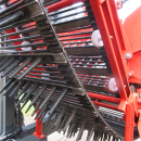5896 Dewulf GBC carrot harvester with bunker