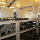 5603 NEWTEC Celox RV12 optical grader for carrots