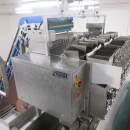 5938 Newtec JASA packaging line for processed vegetables potatoes
