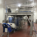 5938 Newtec JASA packaging line for processed vegetables potatoes