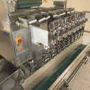5938 Newtec JASA packaging line for processed vegetables potatoes