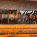 5954 Struik cultivator 4x80 cm
