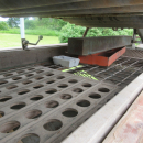 5975 Langco potato sorterer 