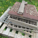 5990 Langco potato sorter / onion sorter