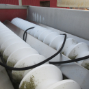 6017 Limas Roller grader for peeled products