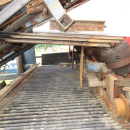 6026 Asa-Lift T-300 carrot harvester