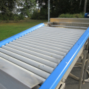 6054 Zumex Food Engineering washing line for citrus
