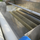 6054 Zumex Food Engineering washing line for citrus