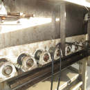 6054 Zumex Food Engineering washing line for citrus