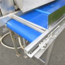 6054 Zumex Food Engineering washing line for citrus