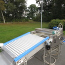 6054 Zumex Food Engineering washing line for citrus