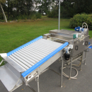 6054 Zumex Food Engineering washing line for citrus