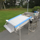 6054 Zumex Food Engineering washing line for citrus