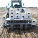 3404 Planting machine for cubes 5 row