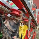6079 Dewulf carrot harvester with elevator