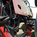 6079 Dewulf carrot harvester with elevator