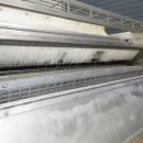6097 Visar singulator unit for carrots