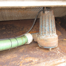 6185 EKKO EM1315 potato washer