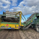 6202 Ploeger potato harvester 4 row with elevator
