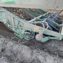6202 Ploeger potato harvester 4 row with elevator