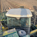 6202 Ploeger potato harvester 4 row with elevator