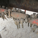 6241 Amac haulm topper 4 row