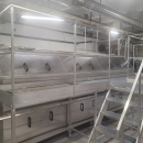 6265 Limas cooking line for potato