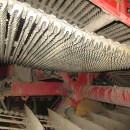 6281 Grimme SE85-55 potato harvester