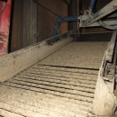 6282 Asa-Lift carrot harvester with bunker