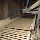 6282 Asa-Lift carrot harvester with bunker
