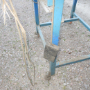 6286 Newtec 2000 linear weigher