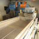 6293 Skals and EMVE grading line for potato