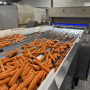 6307 Newtec Celox optical sorter for carrots