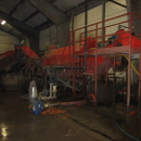6318 EKKO washing line with polisher for root vegetables