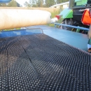 1110 ASA-LIFT cabbage harvester MK-1000