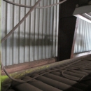 3506 Skals Potato sorter complete line