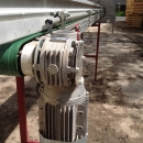 3531 Nosma cabbage cleaning line year model 2011