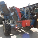 3545 Asa-Lift T-120B carrot harvester with bunker