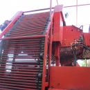 3636 Dewulf RDT Superia 2 Reihe Kartoffelroder mit bunker