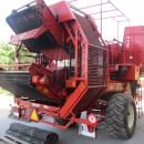 3636 Dewulf RDT Superia 2 Reihe Kartoffelroder mit bunker