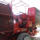 3636 Dewulf RDT Superia 2 Reihe Kartoffelroder mit bunker