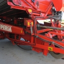 3636 Dewulf RDT Superia 2 Reihe Kartoffelroder mit bunker