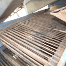 3640 Asa-Lift carrot harvester T-200 2 row with elevator