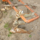 3641 Underhaug potato ridger 