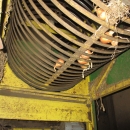3703 EKKO / Olden line for onion