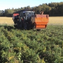 3089 Asa-Lift carrot harvester 1 row with front bunker