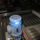3732 Newtec 3013MD multi head weigher and packaging line för trays