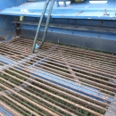 3788 Asa-Lift windrower onion WR-150