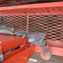 3825 Ferrari Pflanzmaschine 3 Reihe Pneumatisch
